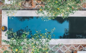 Top Pool Design Trends for 2025